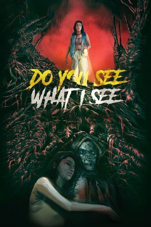 Do You See What I See 2024 official movie poster