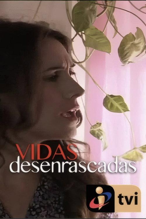 Vidas (des)Enrascadas 2013 official movie poster