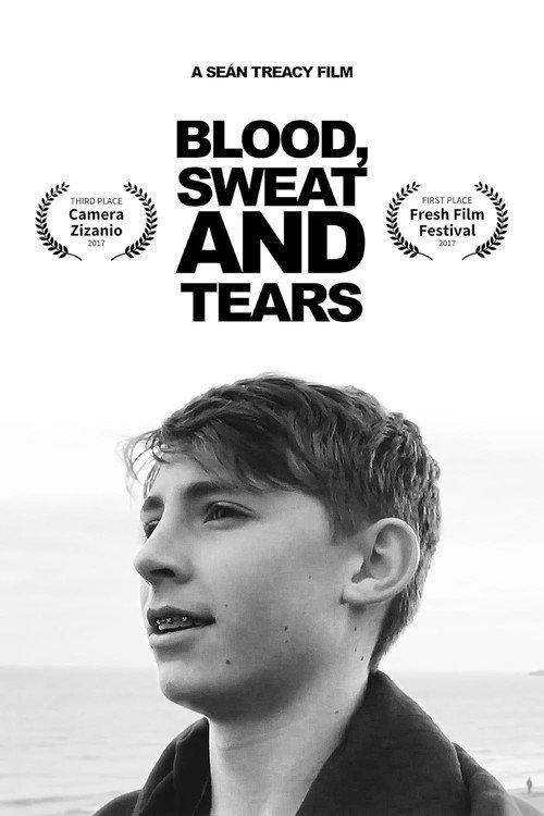 Blood, Sweat and Tears 2017 official movie poster