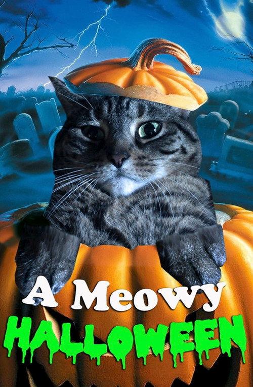 A Meowy Halloween 2018 official movie poster