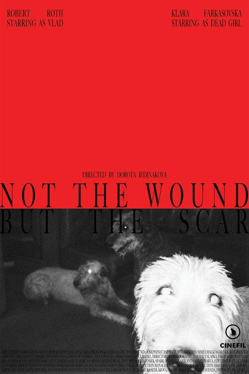 Not the Wound but the Scar 2025 official movie poster