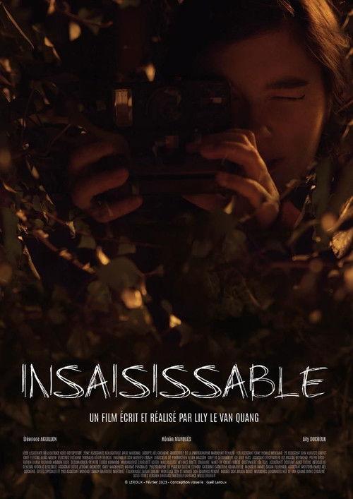 Insaisissable official movie poster
