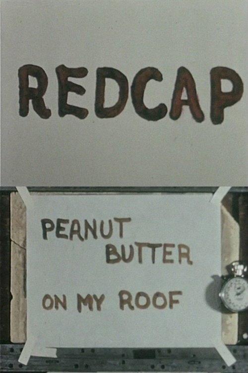 Redcap or Peanut Butter on My Roof 1965 official movie poster
