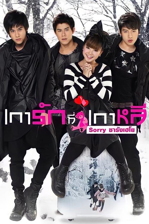 Sorry Saranghaeyo 2010 official movie poster