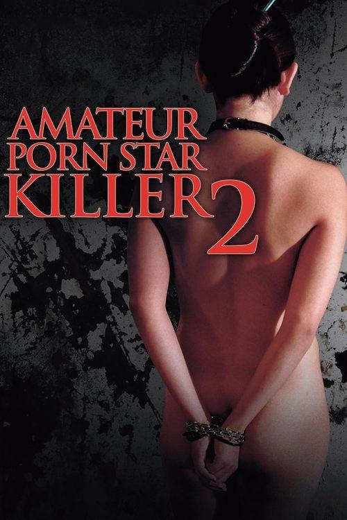 Amateur Porn Star Killer 2 2008 official movie poster