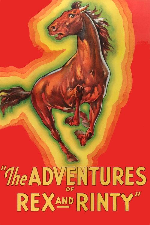 The Adventures of Rex and Rinty 1935 official movie poster