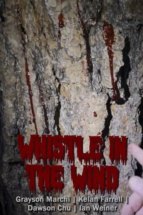 Whistle in the Wind 2024 official movie poster
