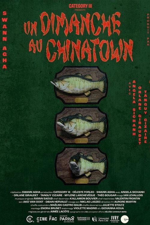 Un dimanche au Chinatown 2025 official movie poster