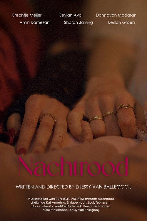 Nachtrood official movie poster