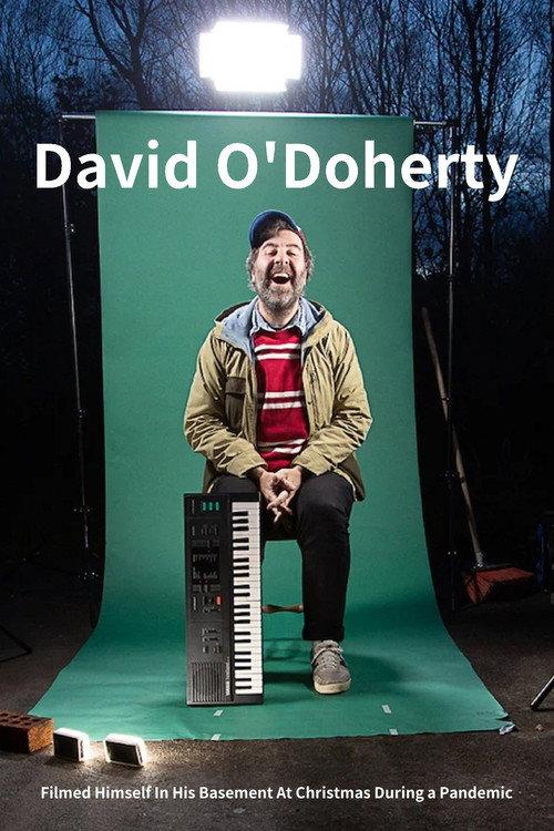David O'Doherty Filmed Himself In His Basement At Christmas During a Pandemic 2020 official movie poster