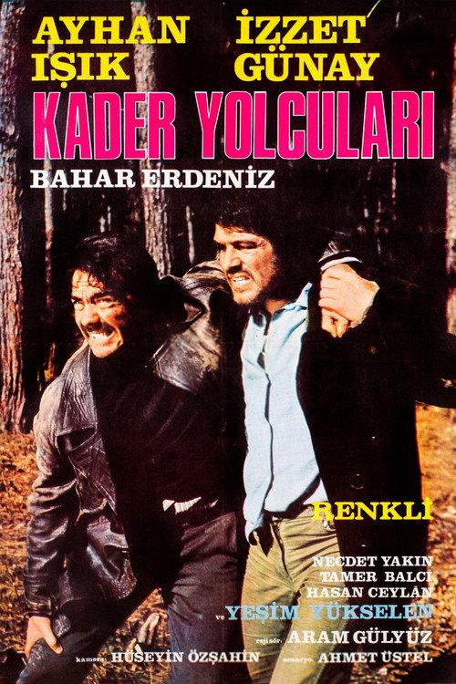 Kader Yolcuları 1973 official movie poster