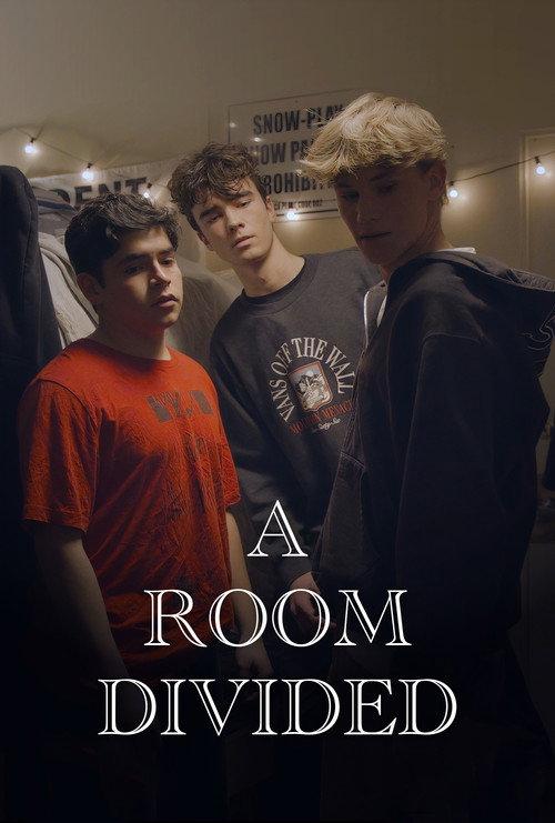 A Room Divided 2024 official movie poster