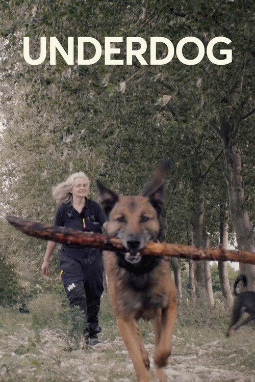 Underdog 2022 official movie poster