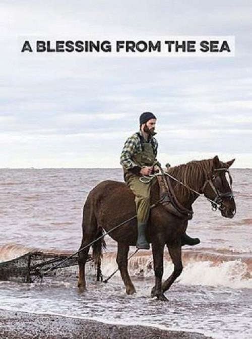 A Blessing from the Sea 2017 official movie poster