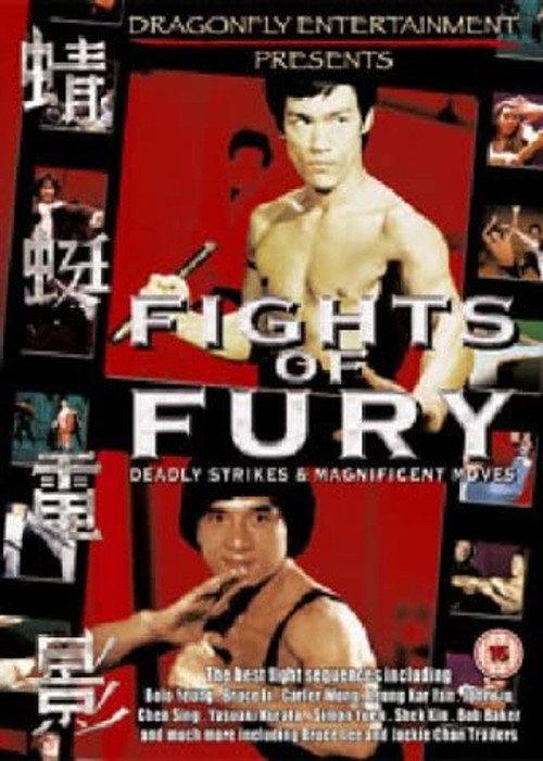 Fights of Fury 2004 official movie poster