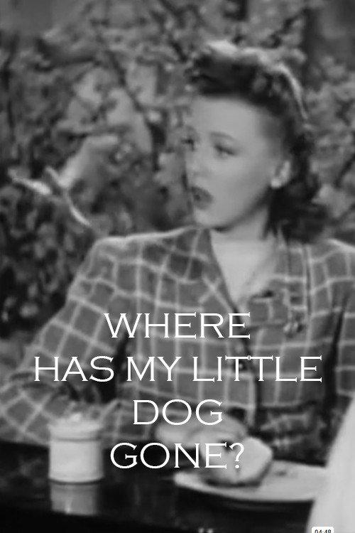 Where Has My Little Dog Gone 1942 official movie poster