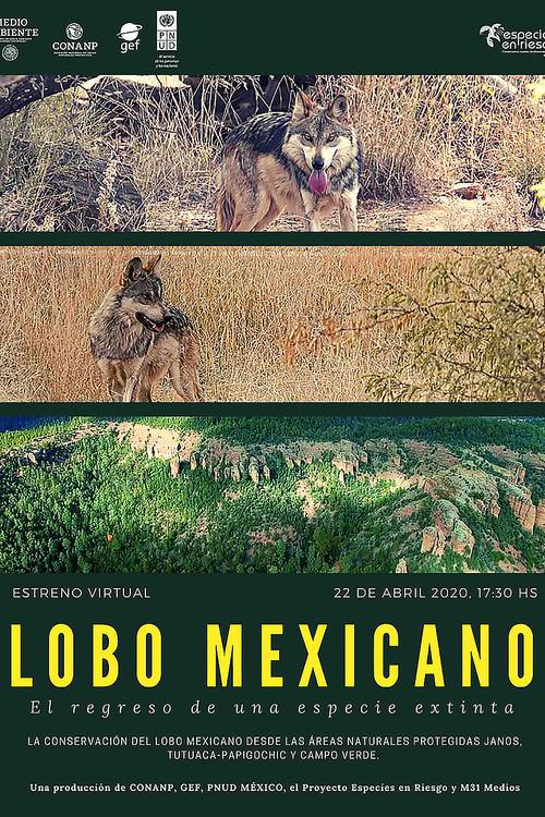 Lobo Mexicano 2020 official movie poster