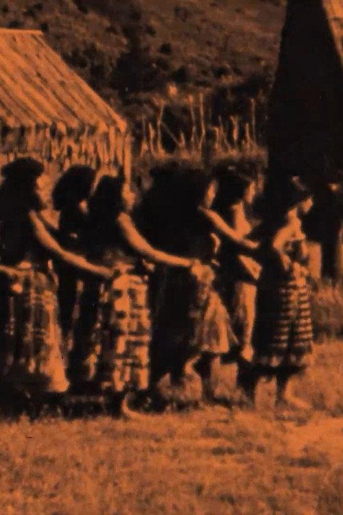 Maori Days 1934 official movie poster