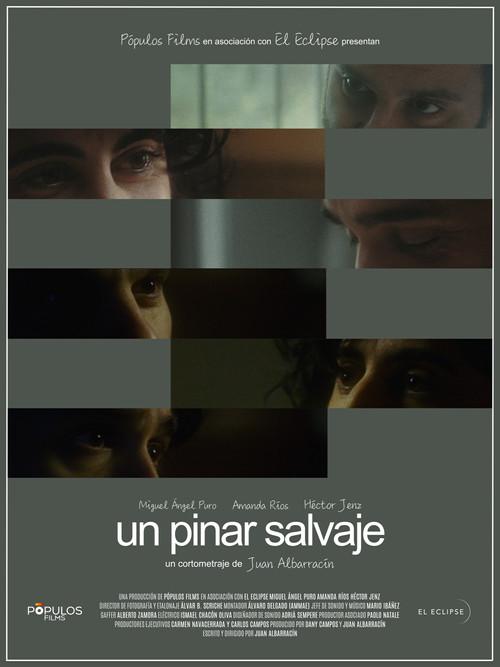 Un pinar salvaje 2023 official movie poster