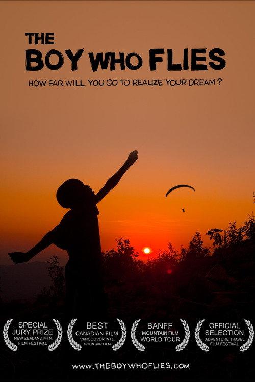 The Boy Who Flies 2013 official movie poster