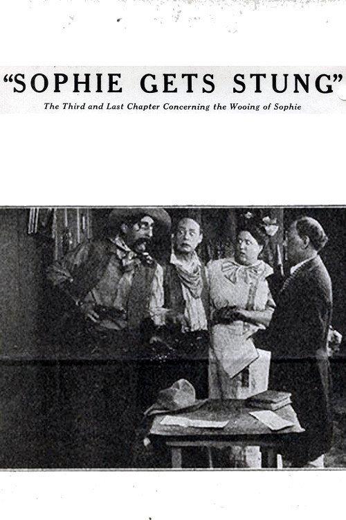 Sophie Gets Stung 1914 official movie poster