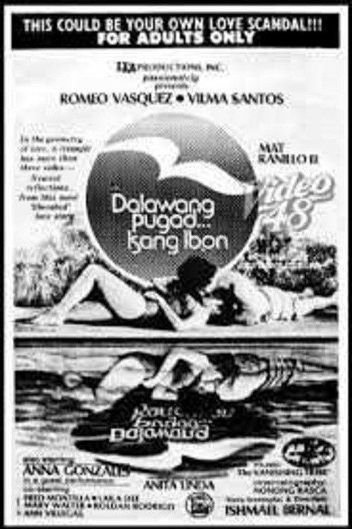 Dalawang Pugad... Isang Ibon 1977 official movie poster