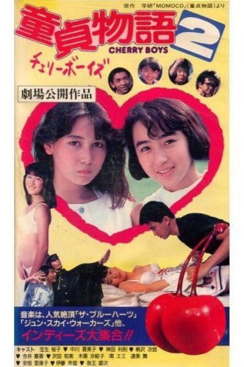 Virgin Boy's Story 2 Cherry Boys 1988 official movie poster