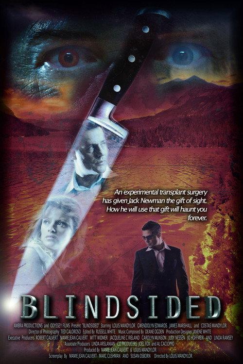 Blindsided 2018 official movie poster