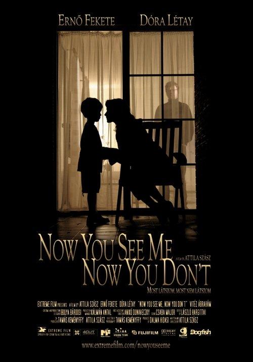 Now You See Me, Now You Don't 2005 official movie poster