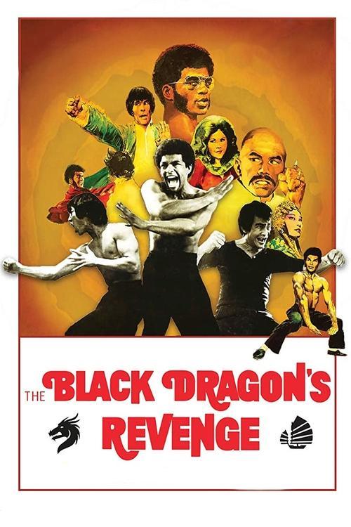 Black Dragon's Revenge 1975 official movie poster