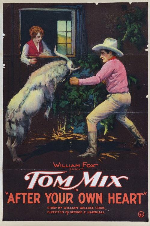 After Your Own Heart 1921 official movie poster