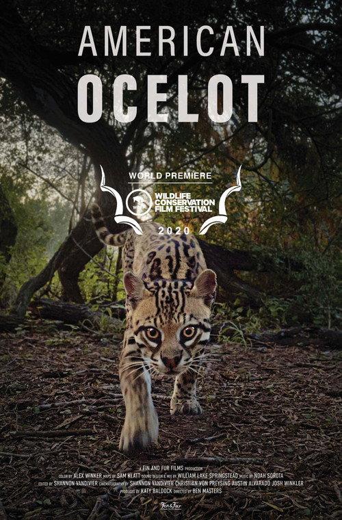 American Ocelot 2021 official movie poster