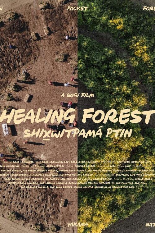 Healing Forest 2024 official movie poster