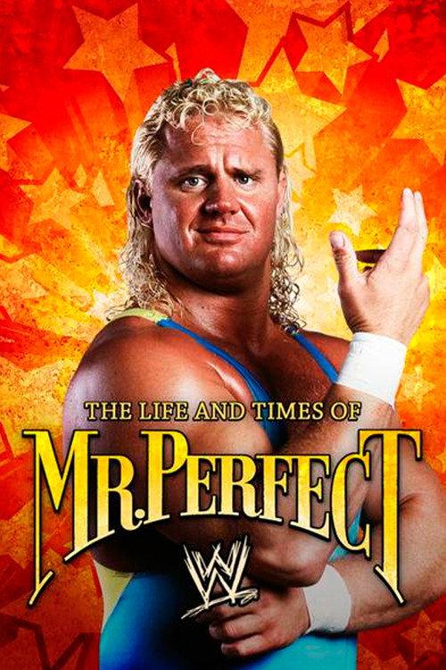 The Life and Times of Mr. Perfect 2008 official movie poster