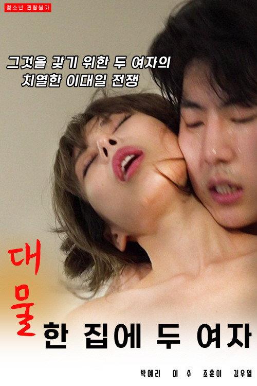 Big Thing: One House, Two Women 2021 official movie poster