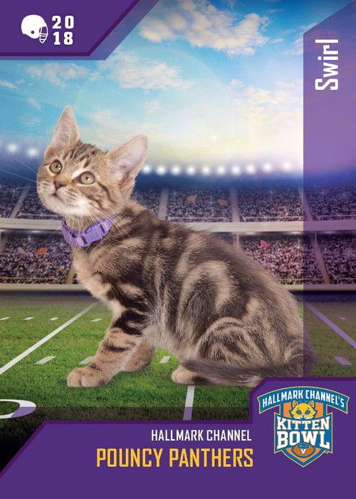 Kitten Bowl VIII Special 2021 official movie poster