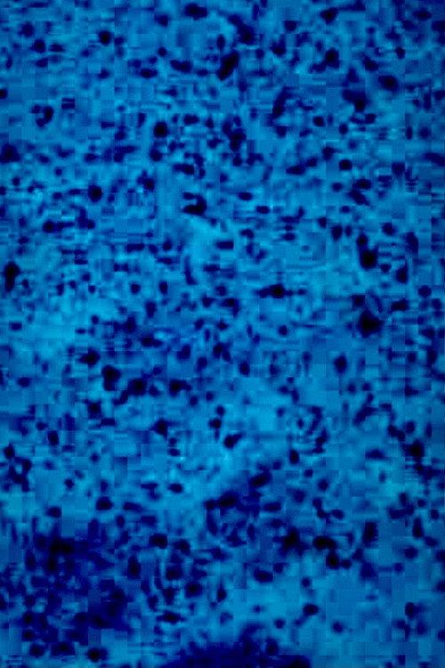 BLAUFILM 2000 official movie poster
