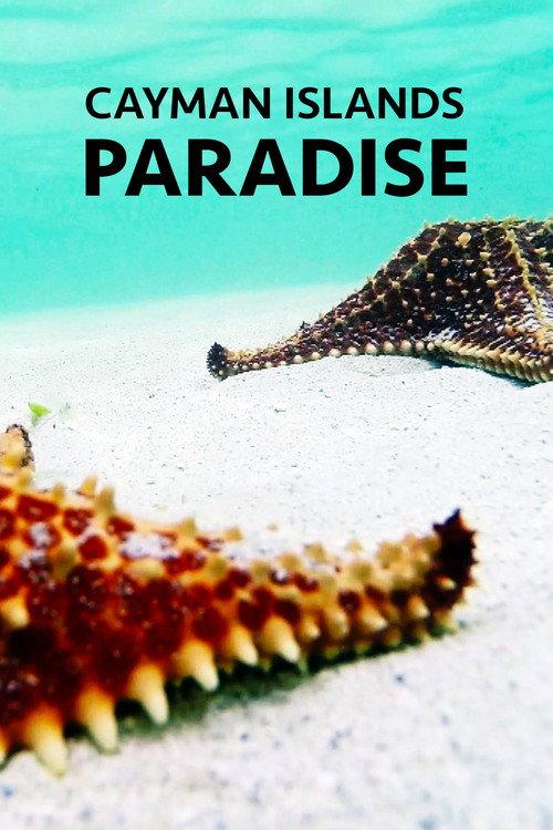 Cayman Islands: Paradise 2021 official movie poster