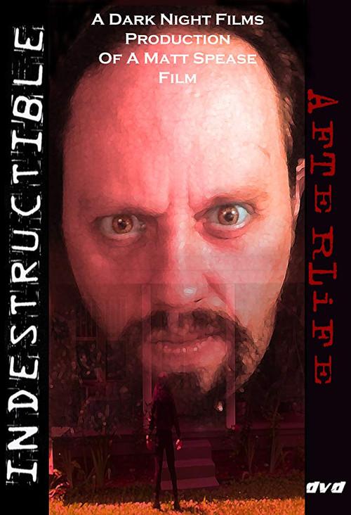 Indestructible: Afterlife 2008 official movie poster
