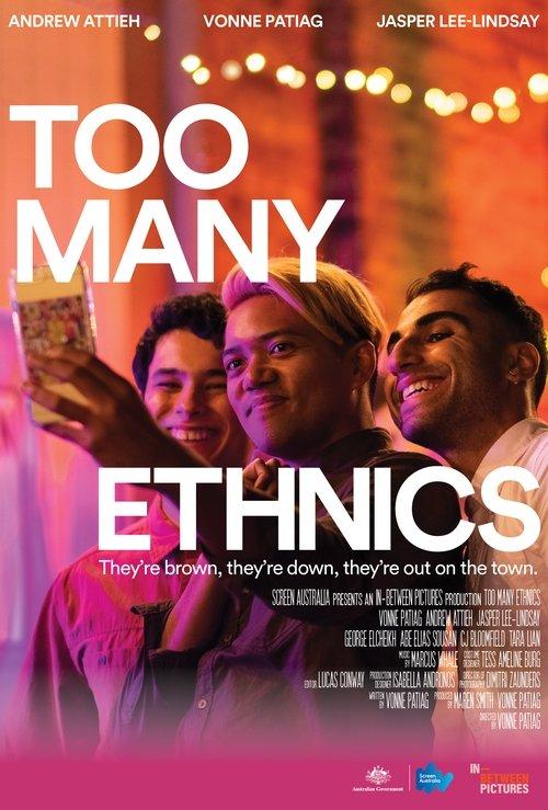 Too Many Ethnics 2023 official movie poster
