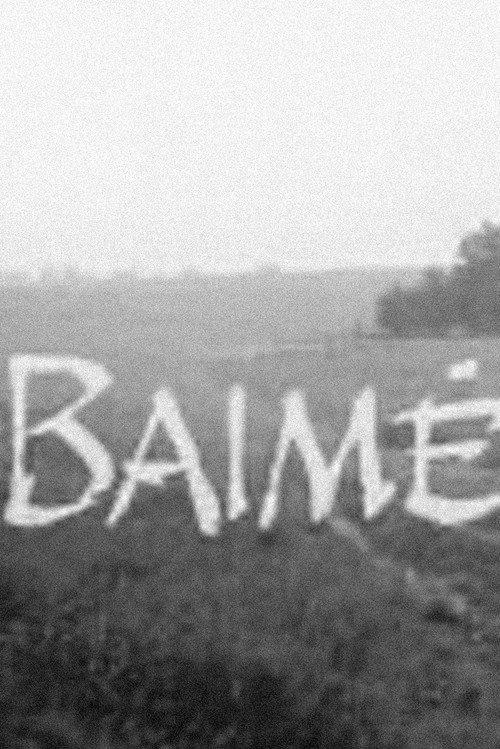 Baimė 1996 official movie poster