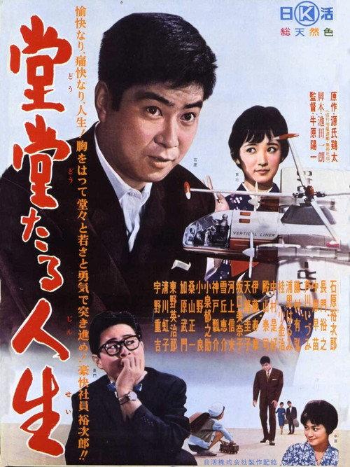 A Bold Life 1961 official movie poster