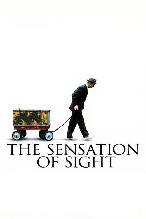 The Sensation of Sight 2006 official movie poster
