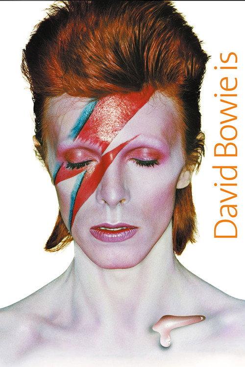 David Bowie Is Happening Now 2013 official movie poster