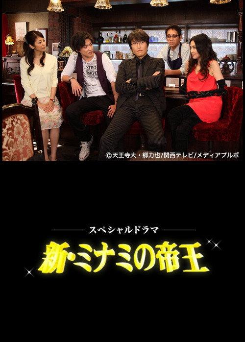 The King of Minami Returns 2010 official movie poster