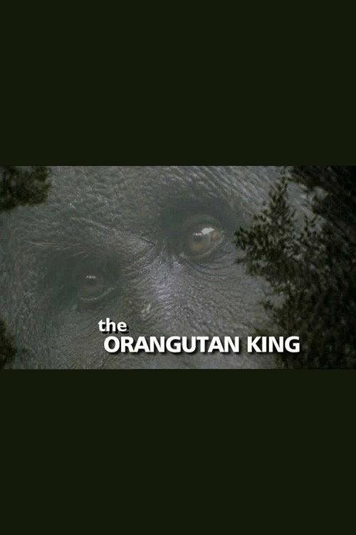 The Orangutan King 2005 official movie poster