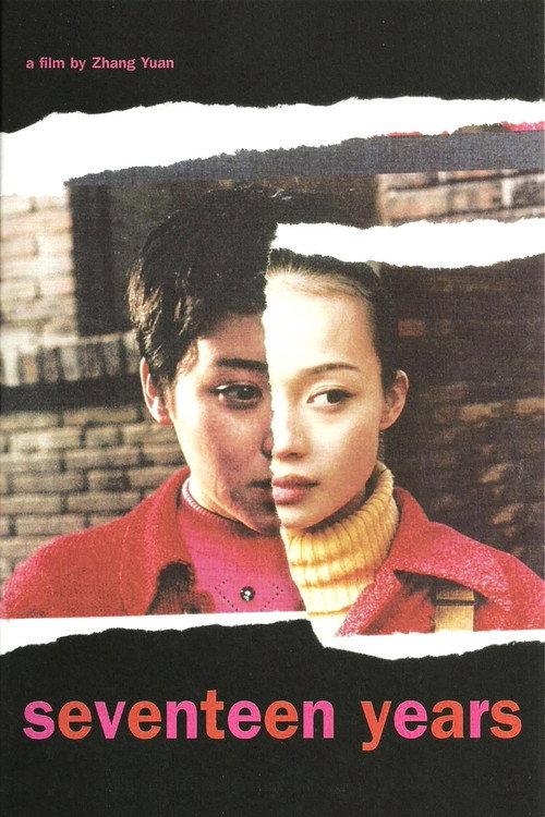 Seventeen Years 1999 official movie poster