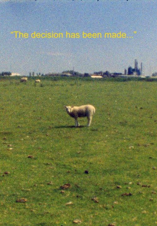 Vertical Shapes in a Horizontal Landscape 2018 official movie poster