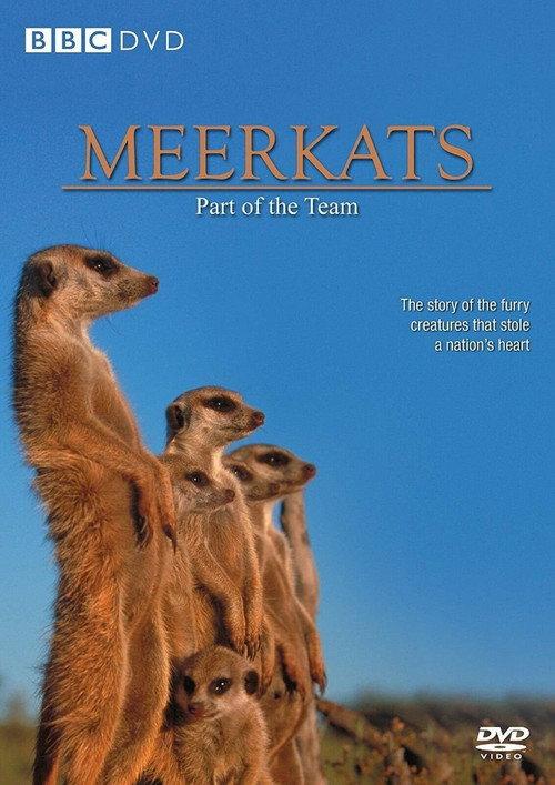 Meerkats: Part of the Team 2002 official movie poster