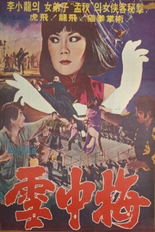 Snow Plum Blossom 1976 official movie poster